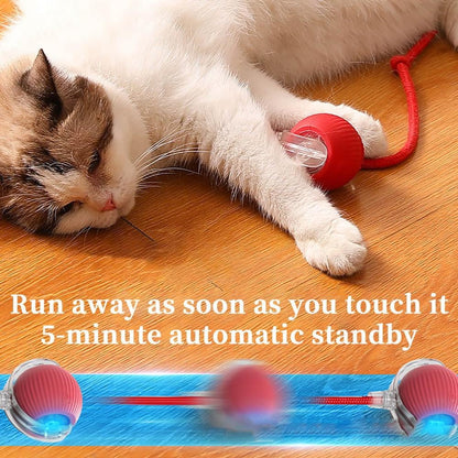 🐾Christmas Special offer! 🐱🐶Smart Automatic Rolling Pet Ball